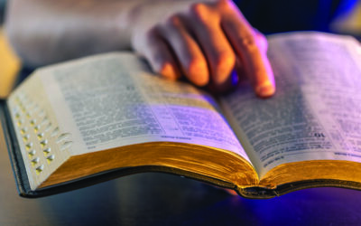 The Behavior of a Christian