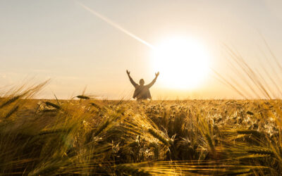 A Changed Life in Christ