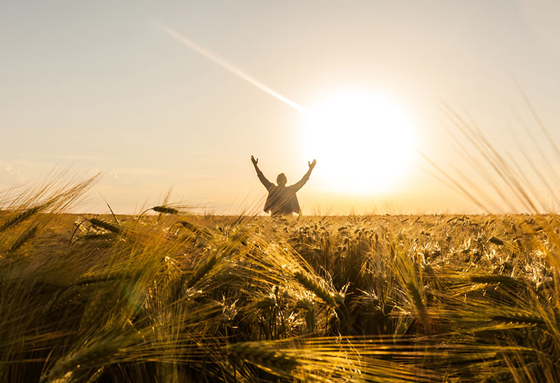 Person with hands up in worship.