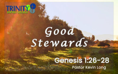 Good Stewards: Made in God’s Image, Living by His Order | Genesis 1:26–28