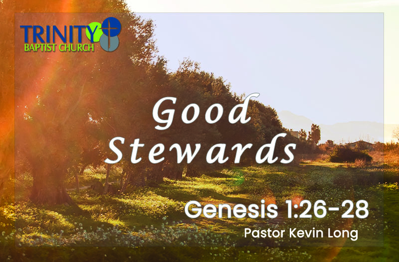 Good Stewards: Made in God’s Image, Living by His Order | Genesis 1:26–28