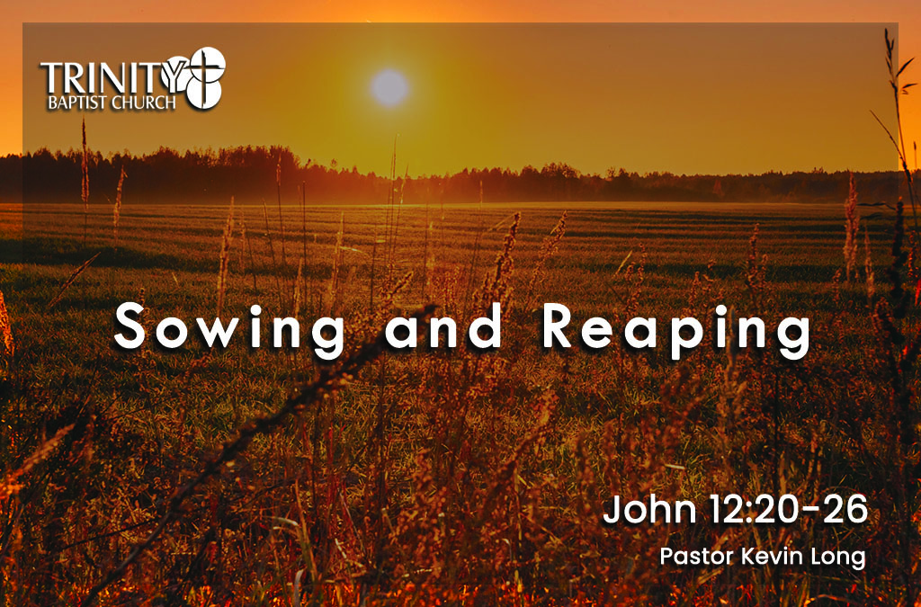 Sowing and Reaping | John 12:20-26