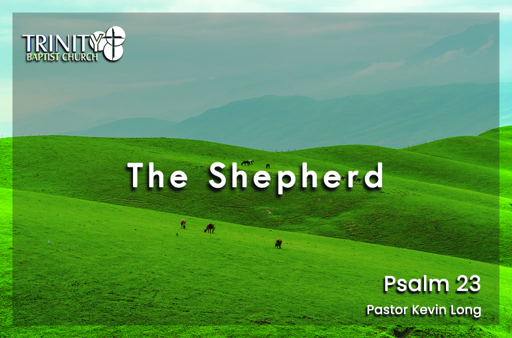 The Shepherd | Psalm 23