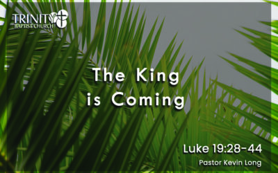 The King is Coming | Luke 19:28-44