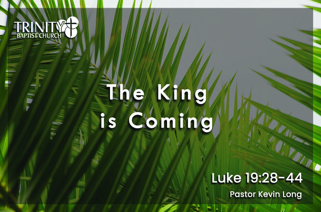 The King is Coming | Luke 19:28-44