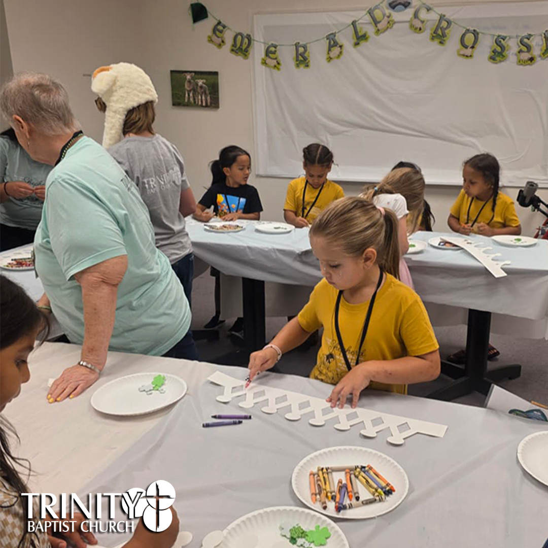 Vacation Bible School at Trinity Baptist Church of Lakeland, FL featured Answers in Genesis program Emerald Crossing, a journey through Psalm 23. We are showing pictures of the children who came every night during the week.