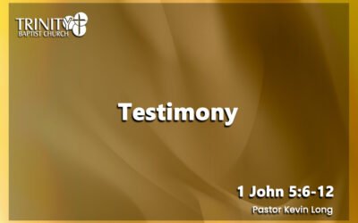 Testimony | 1 John 5:6-12